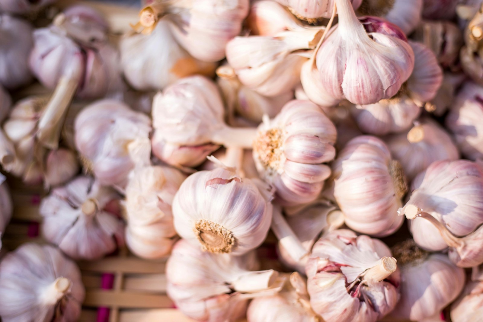 Heap of pink-tinged garlic bulbs at a farmers market