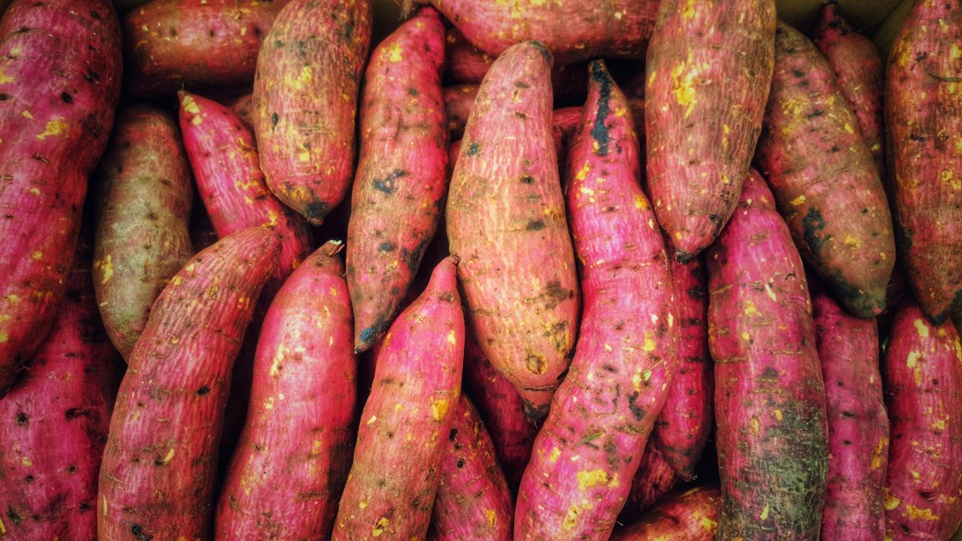 A close pile of pink and yellow-skinned sweet potato tubers showing varied skin colours