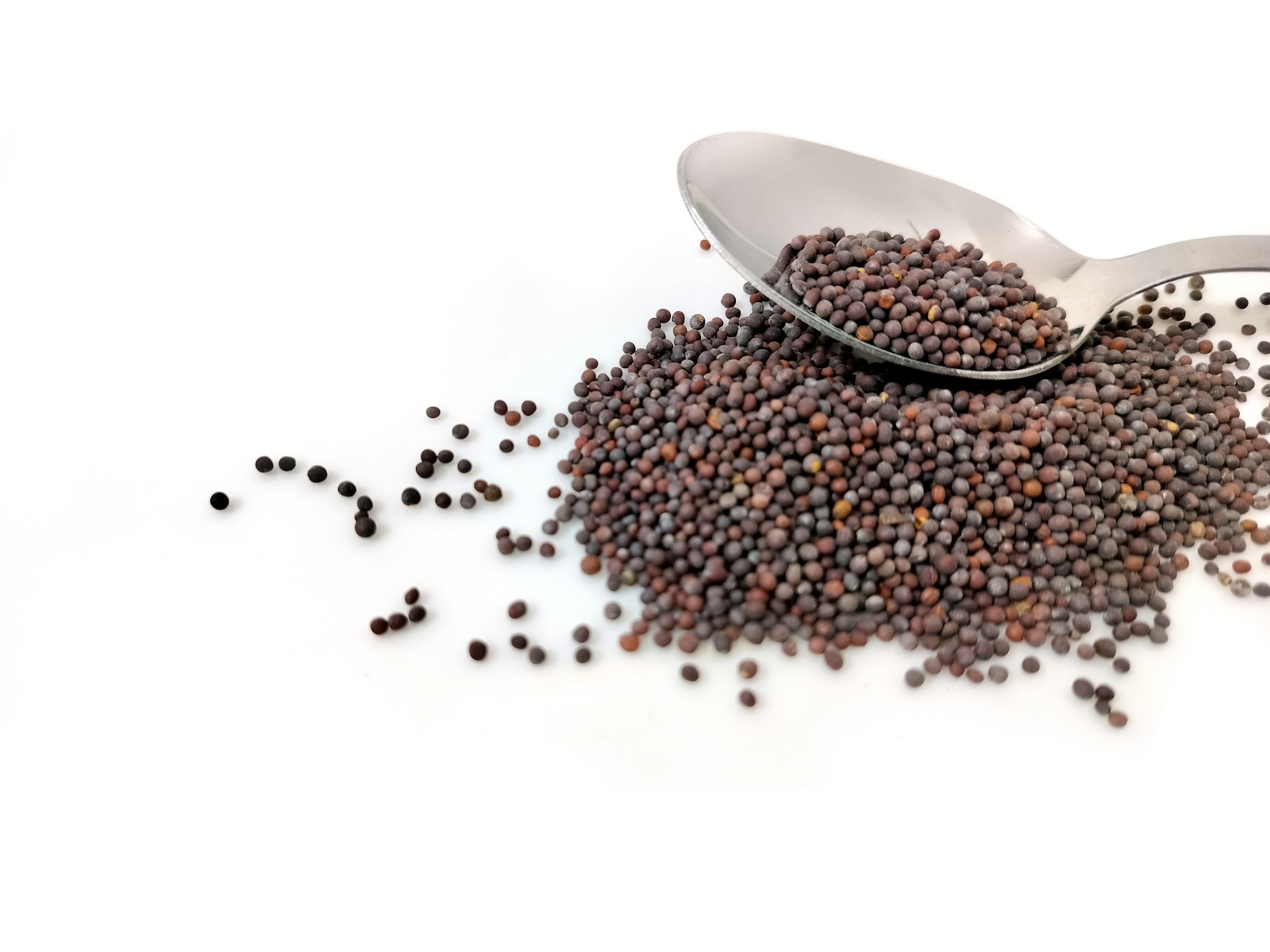 Small round brown mustard seeds spilling from a metal spoon