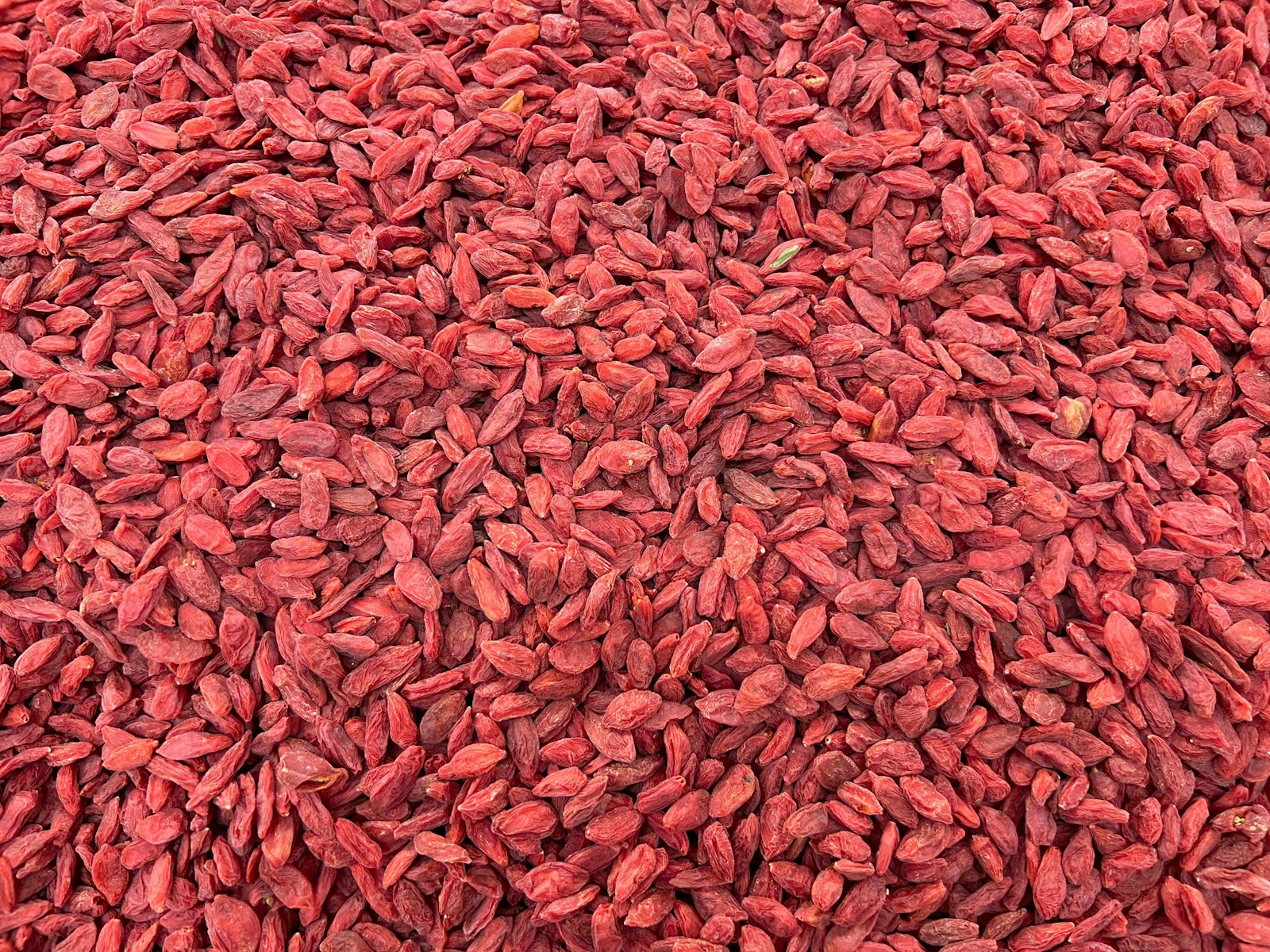 A large heap of dried, wrinkled red goji berries