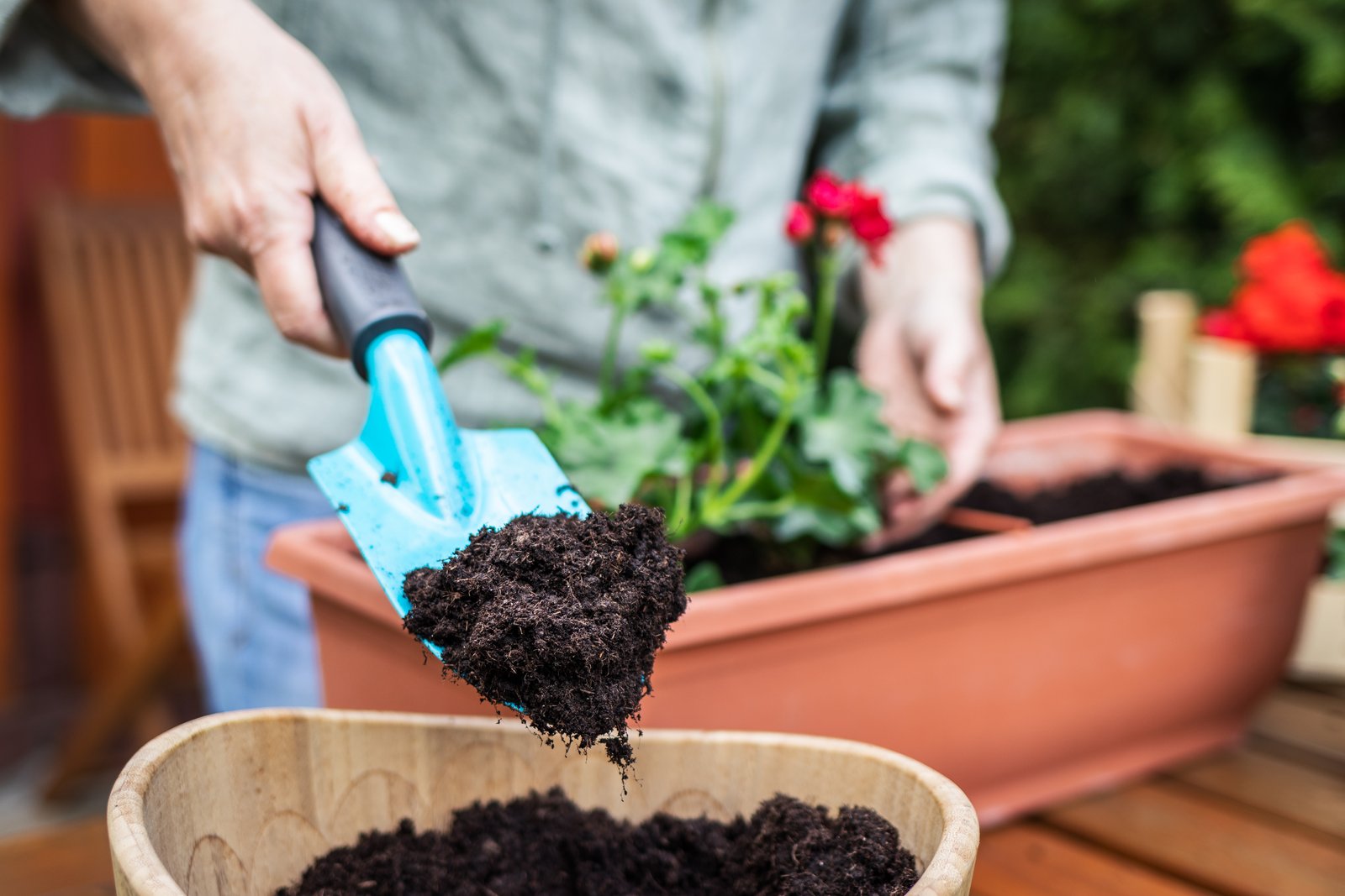 Gardener filling a pot with dark potting mix using a hand trowel
