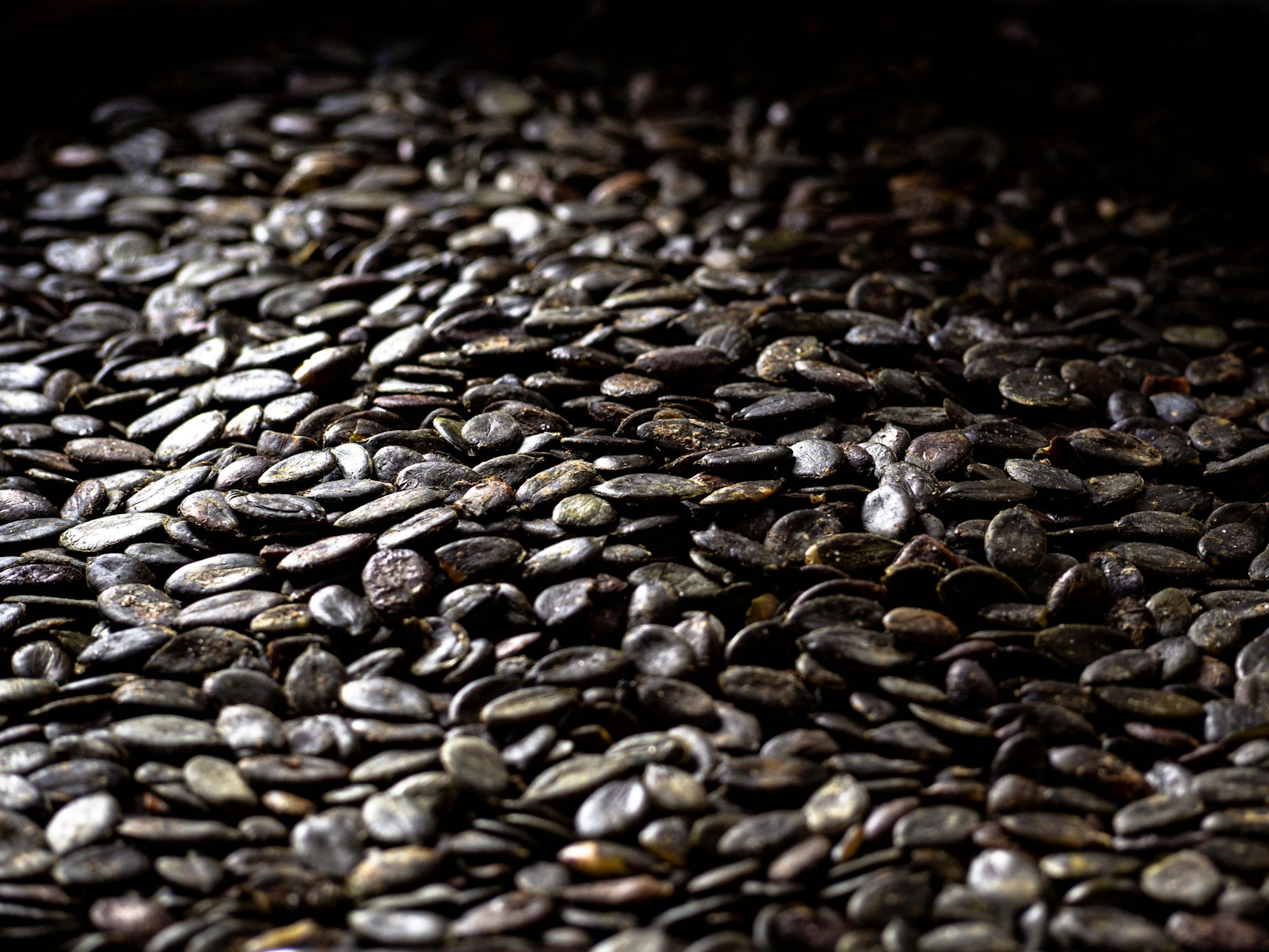 Close-up of a pile of dark, flat, hulled pumpkin seeds