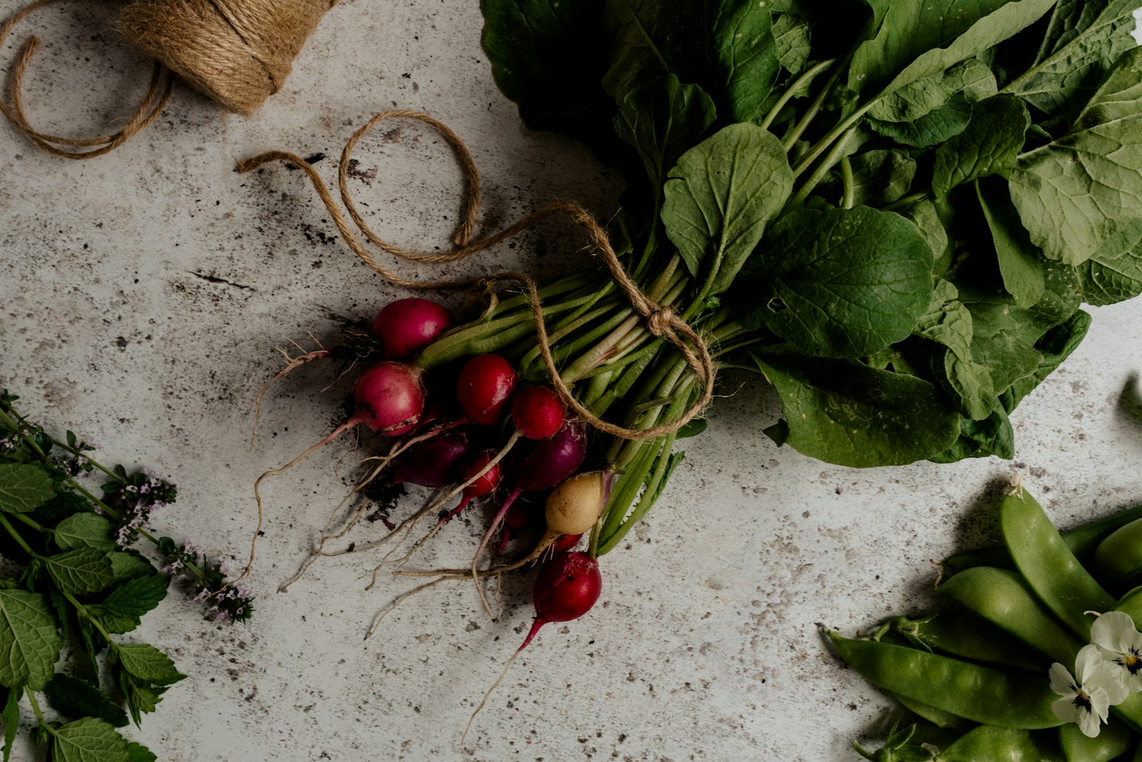 Bunch of red, purple and white radishes tied with twine beside pea pods