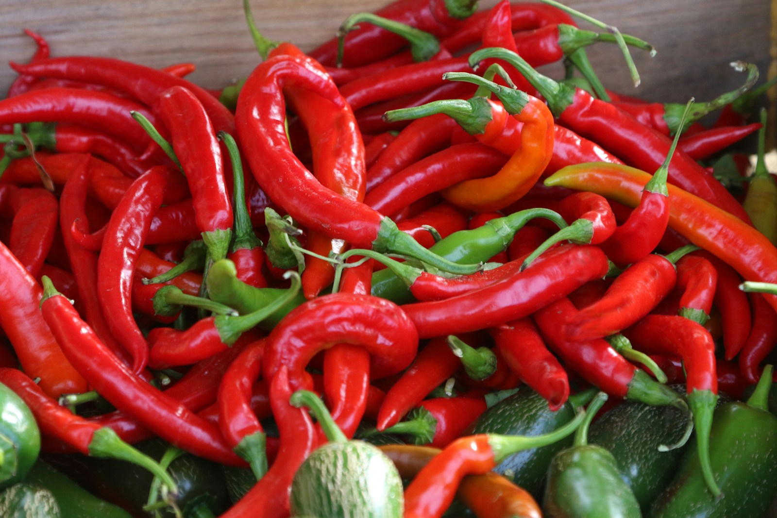Harvested long, wrinkled red cayenne-type chili pods piled beside green jalapenos