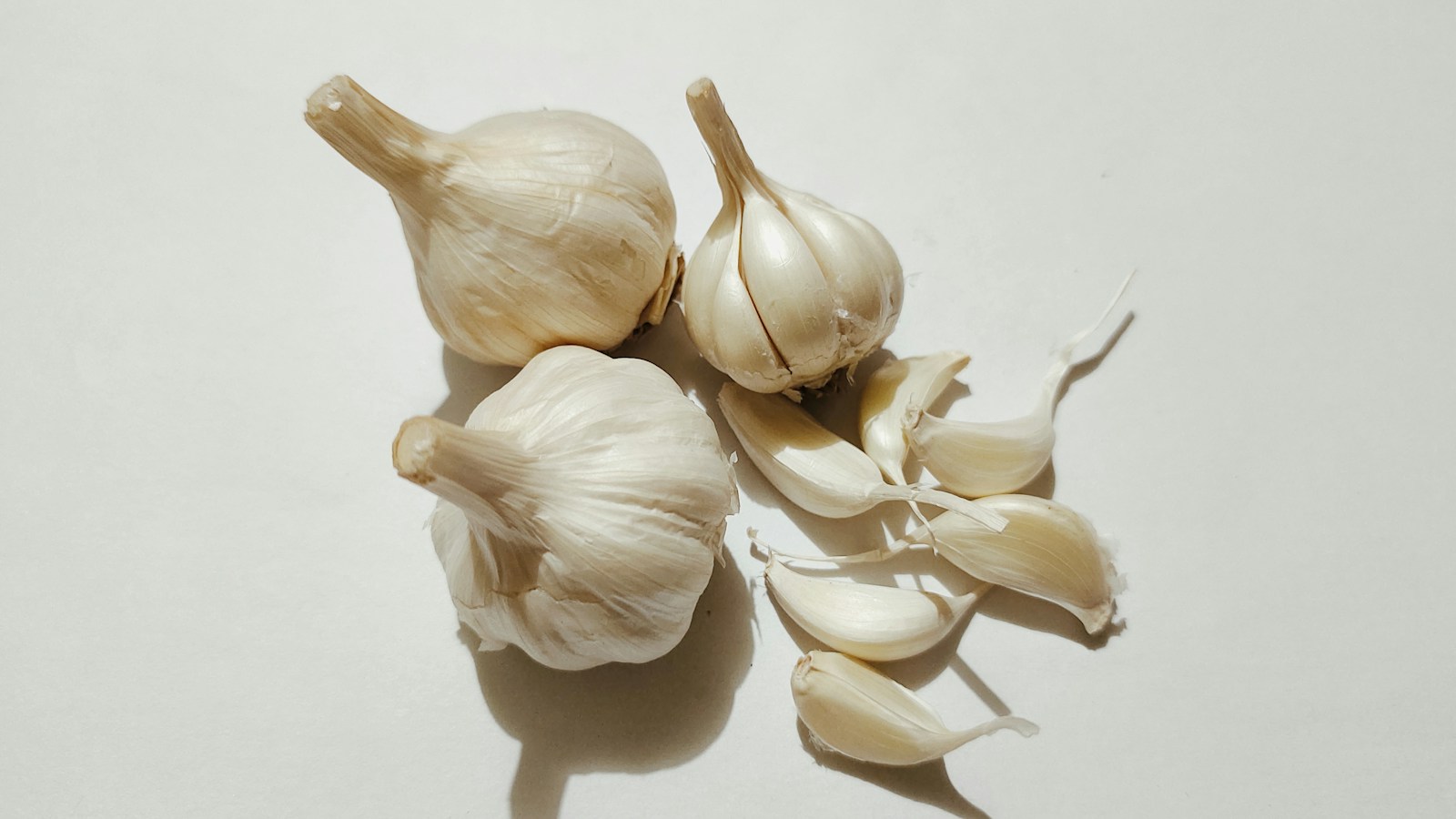 Three white garlic bulbs beside separated cloves ready for planting