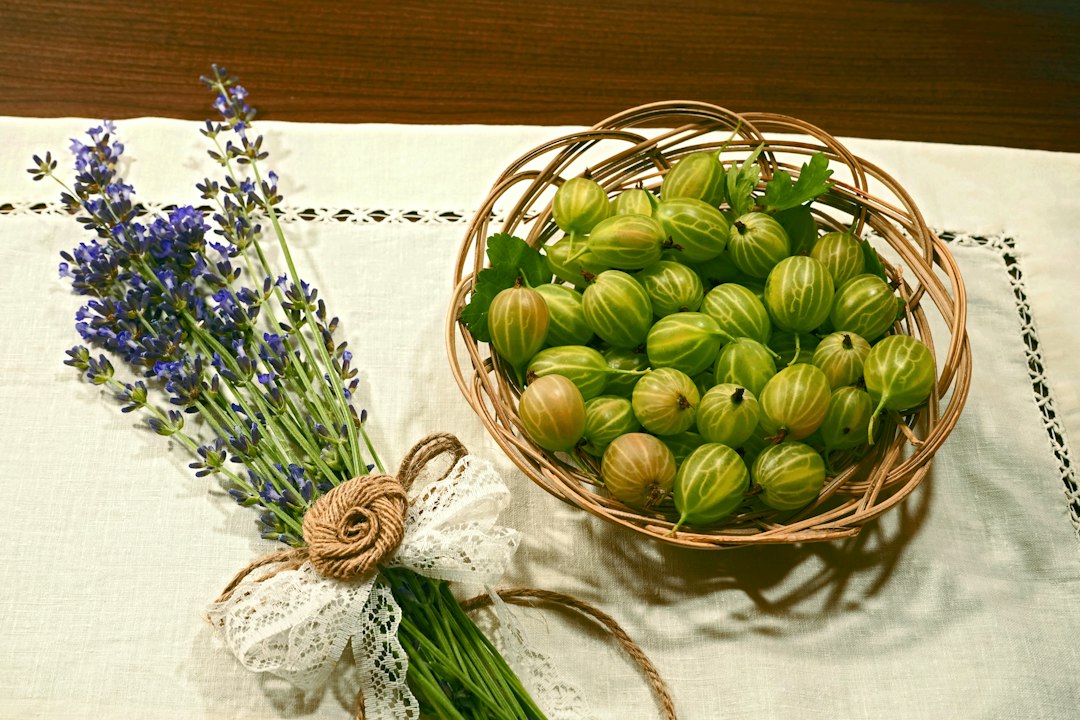 A woven basket full of freshly picked pale green and gold gooseberries