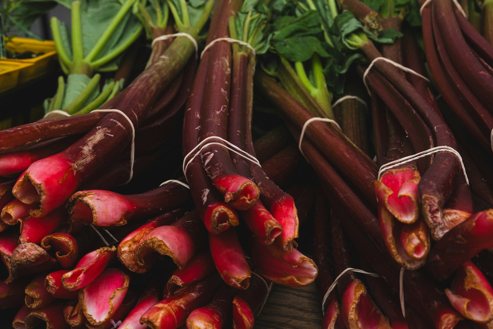Bundles of deep red rhubarb stalks tied with string at a market