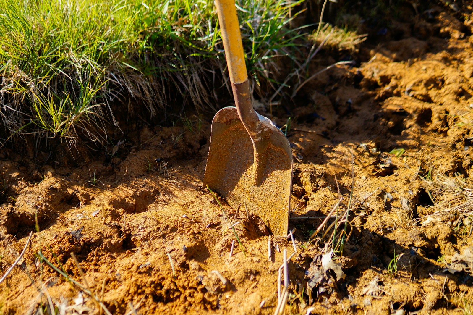 Spade pushed deep into freshly dug sandy soil beside grass