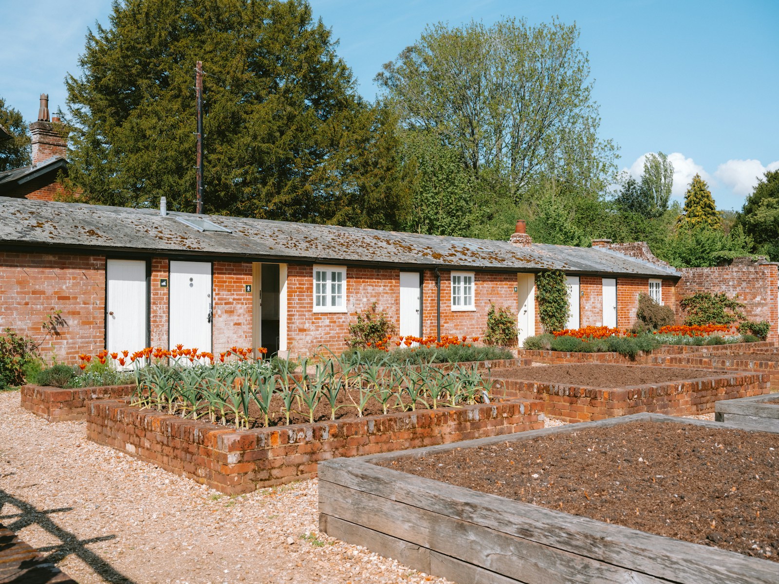 Brick and timber raised beds, one planted with young leeks, others bare