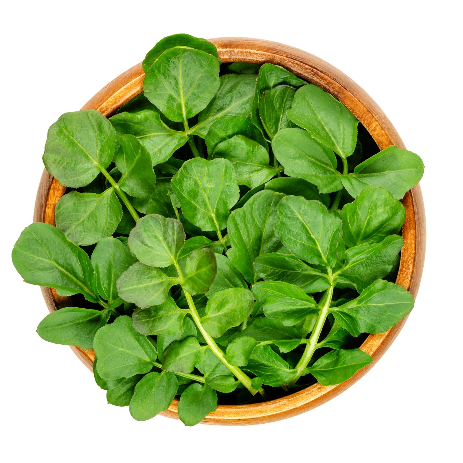 Wooden bowl of freshly picked watercress leaves ready to eat