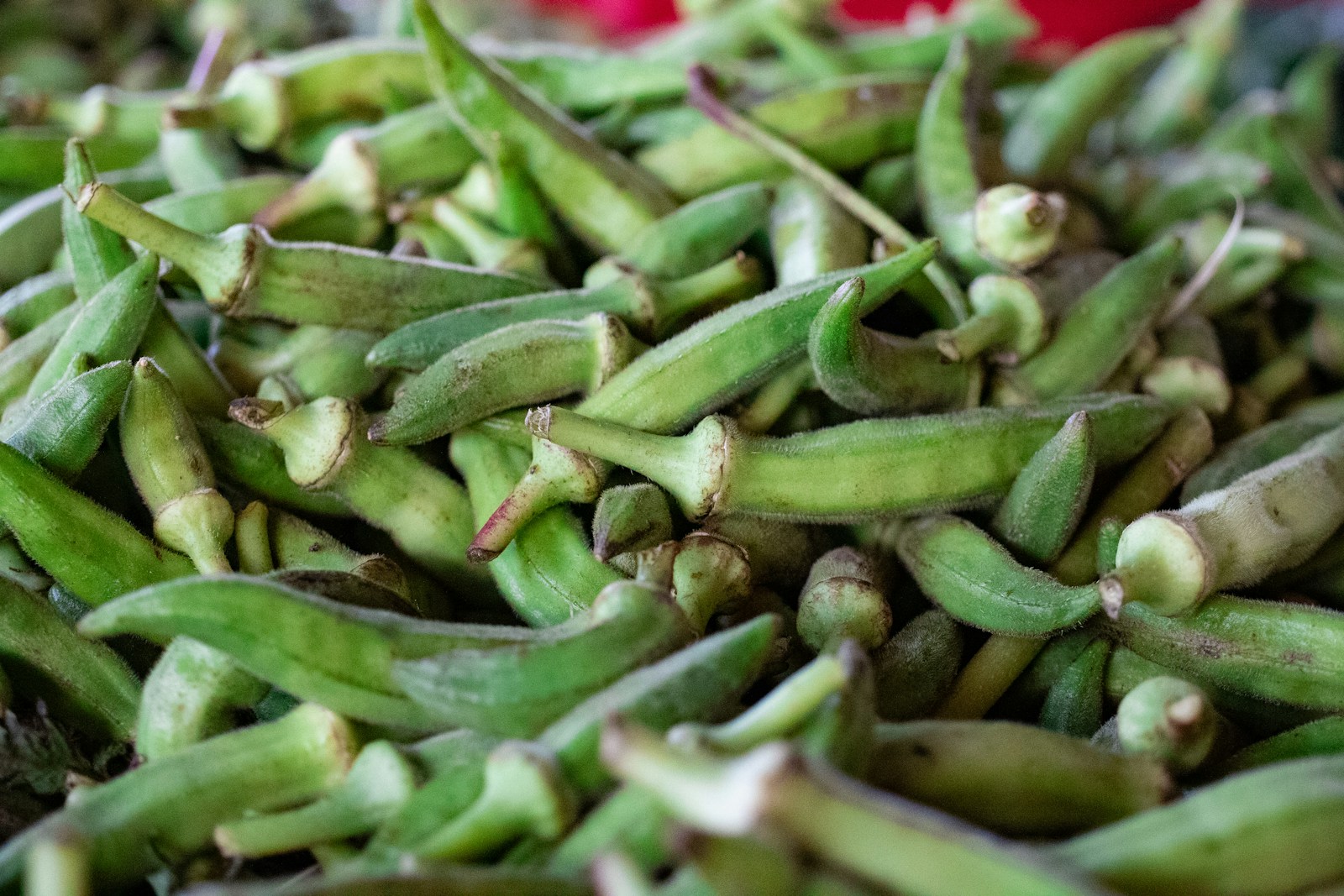 A heap of freshly picked, fuzzy green okra pods at a market