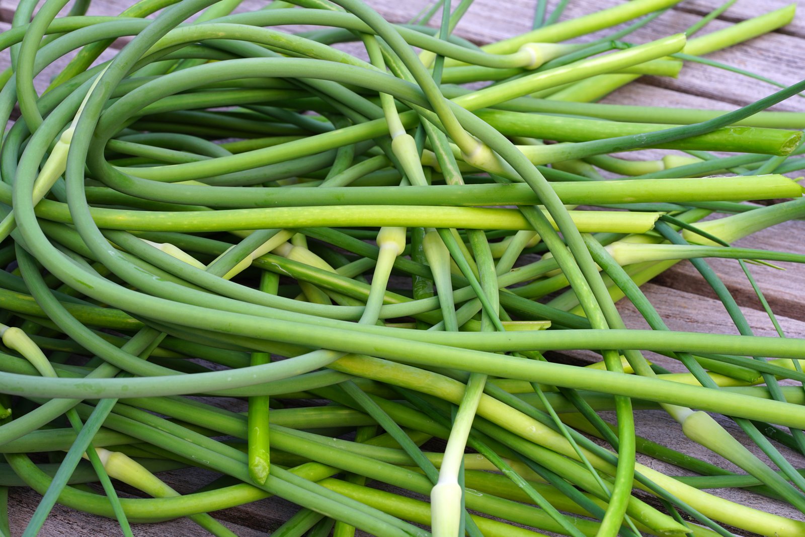 A pile of freshly cut green garlic scapes on a wooden table