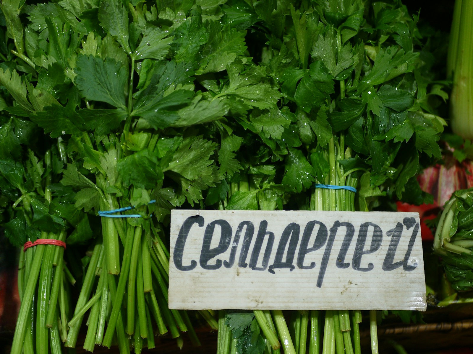 Leafy bunches of thin-stemmed celery tied with bands beside a handwritten sign