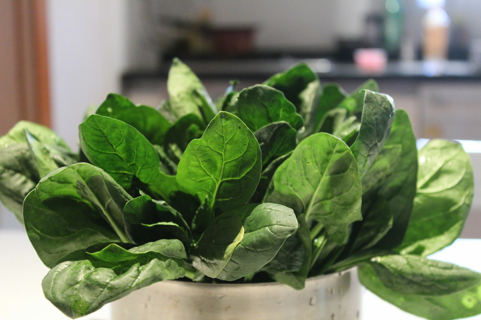 A bunch of freshly picked dark green spinach standing in a metal pot