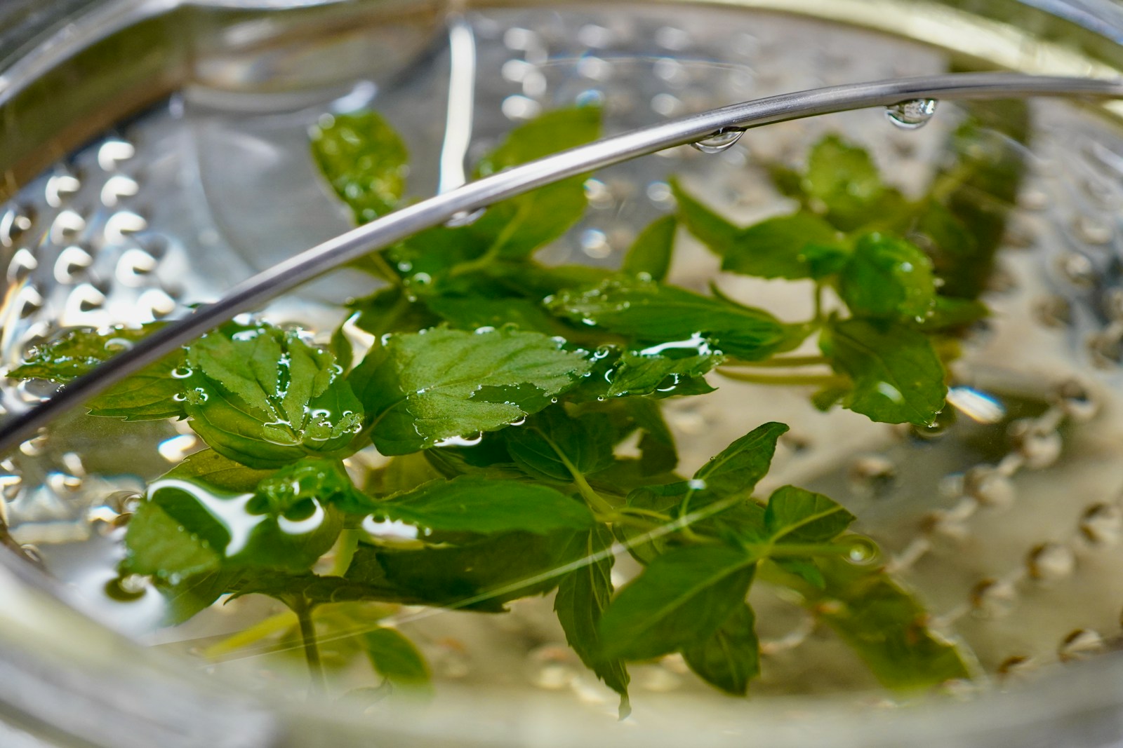 Mint sprigs soaking in water in a stainless steel colander