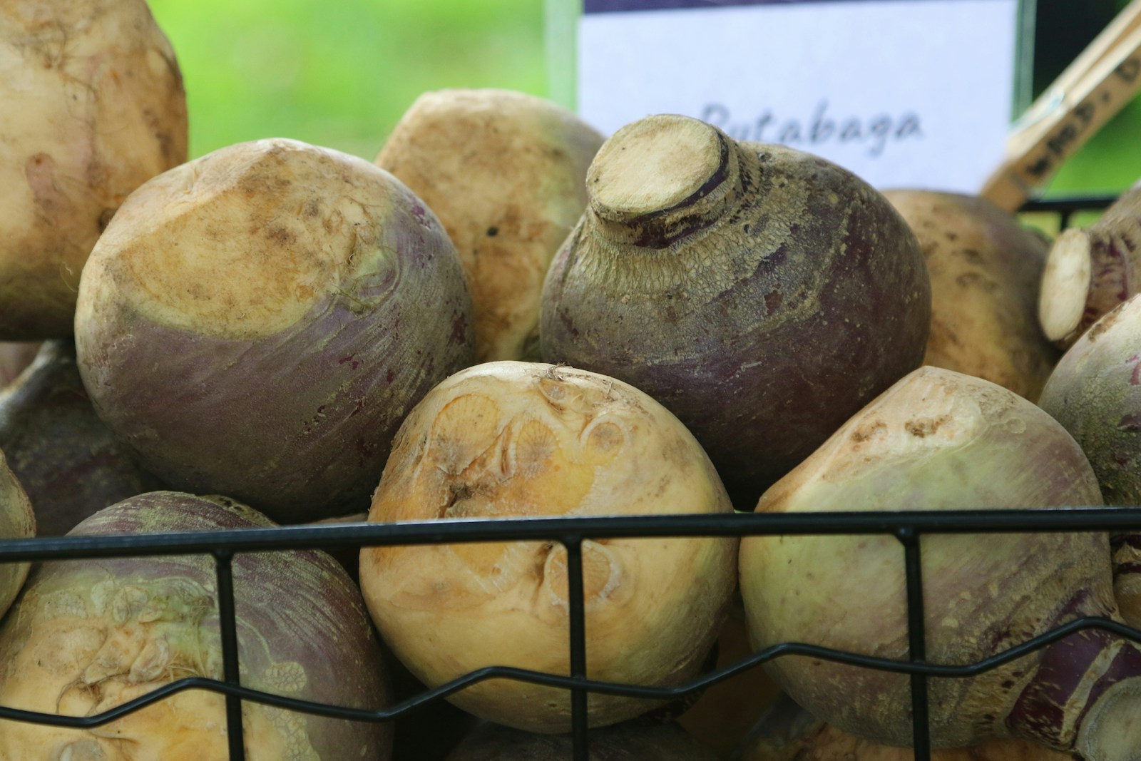 Trimmed rutabaga roots with purple shoulders in a wire basket under a rutabaga sign