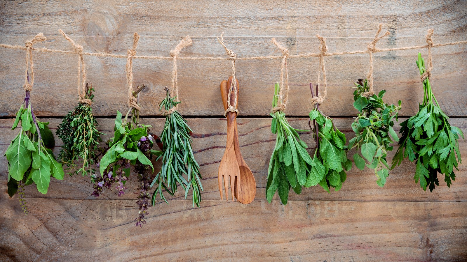 Small bunches of herbs tied with string and hung up to dry