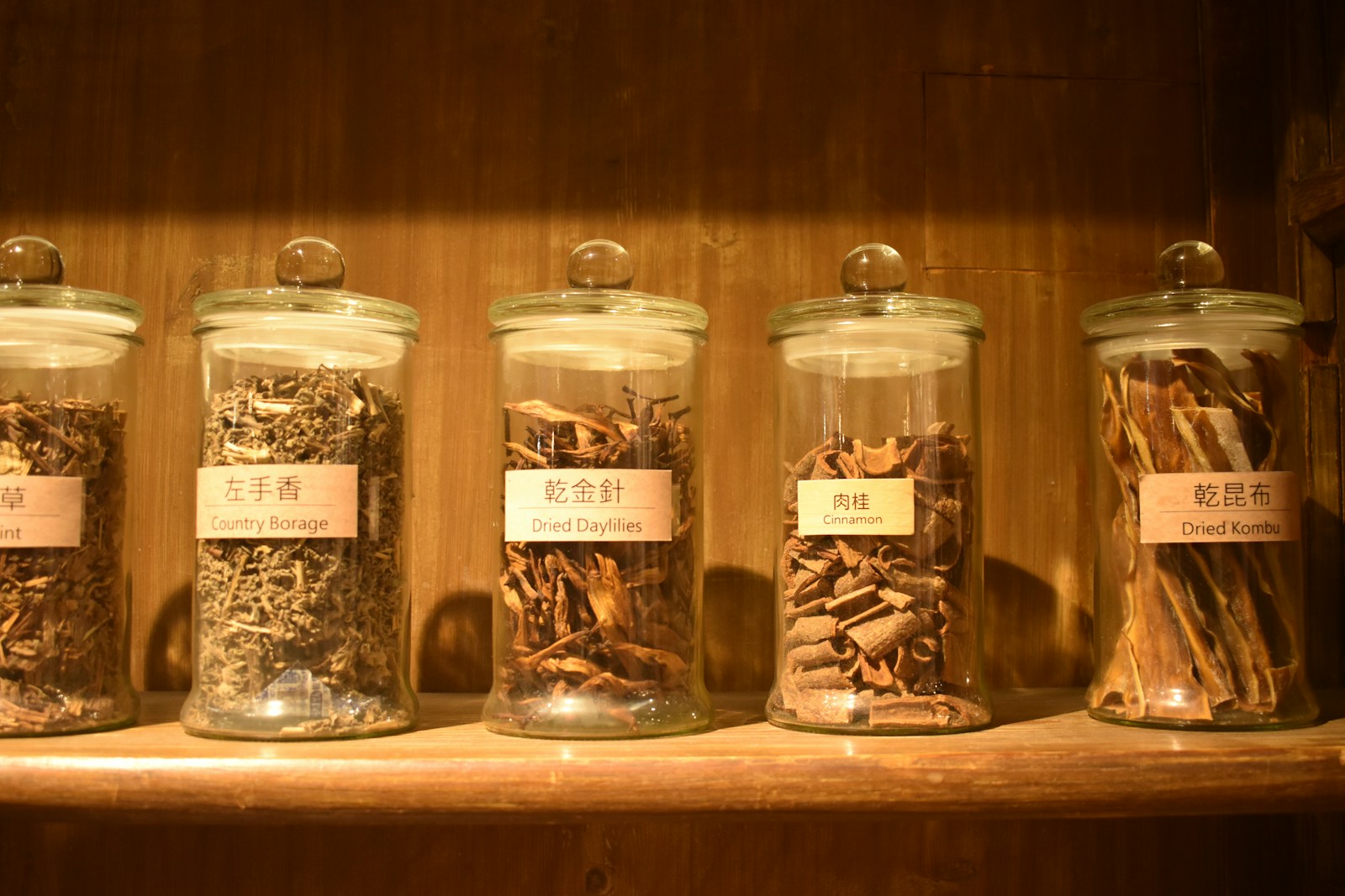 Row of labeled glass jars holding dried plant material on a shelf
