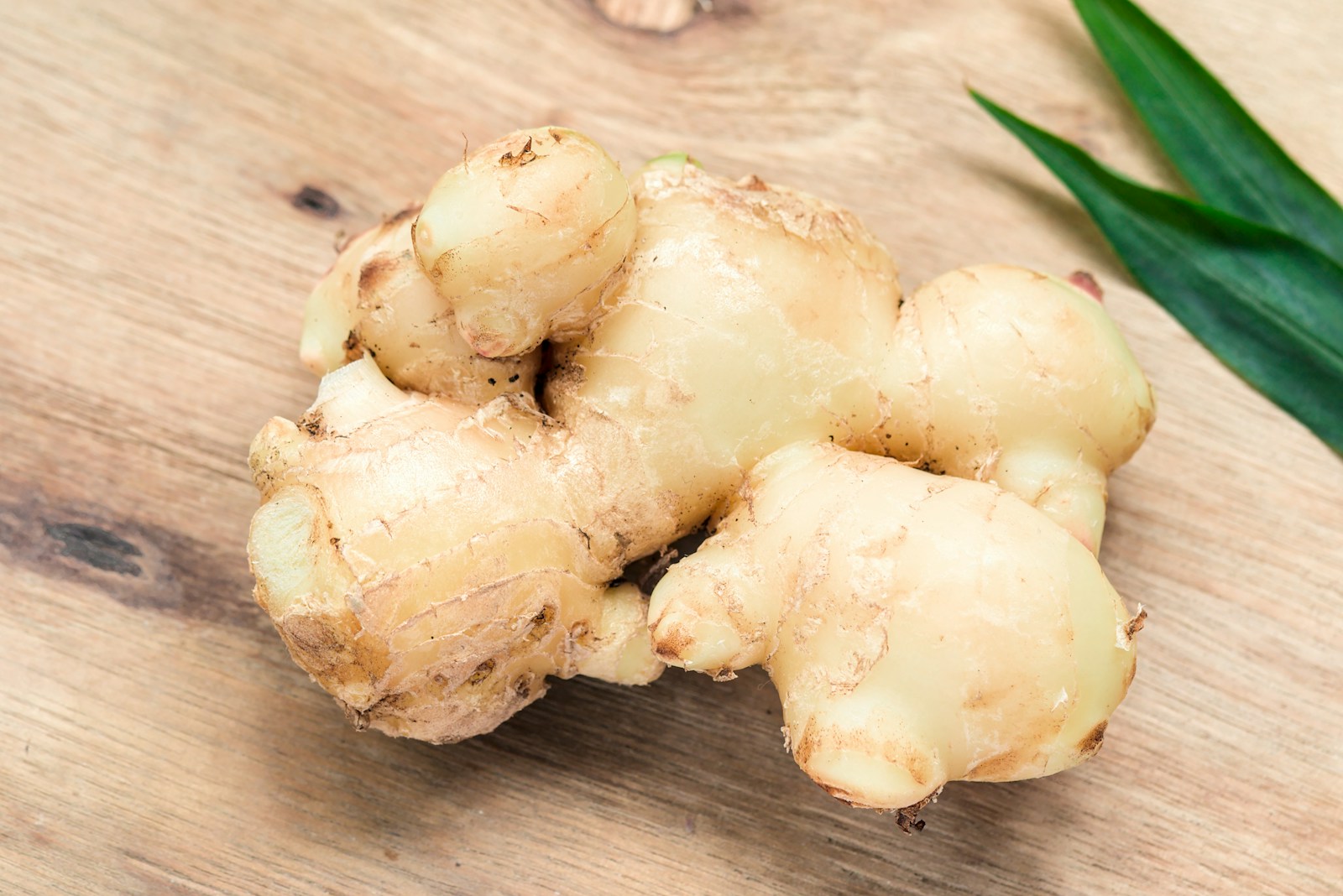 Plump pale ginger rhizome with rounded knobs on a wooden board