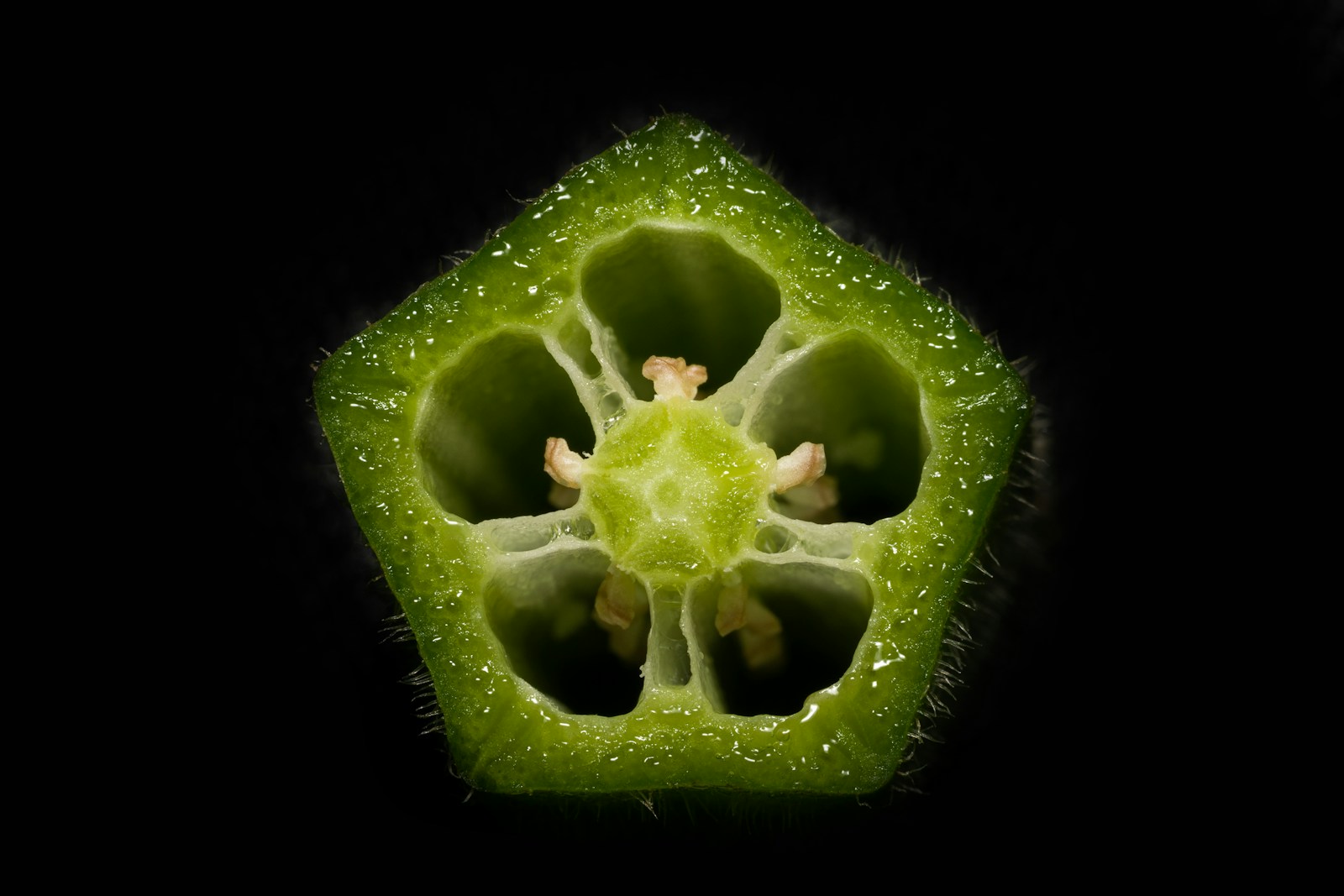 Sliced okra pod showing a five-sided cross-section with seeds inside