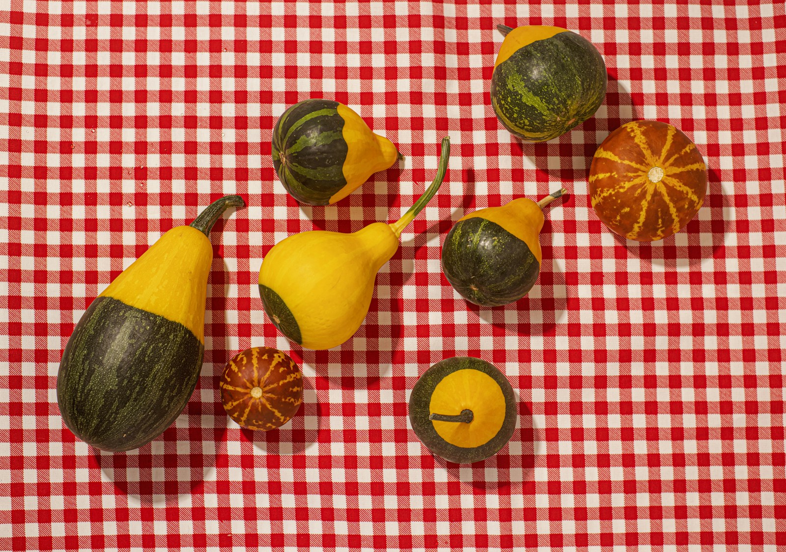 Small yellow, green and striped ornamental gourds laid on a checked tablecloth