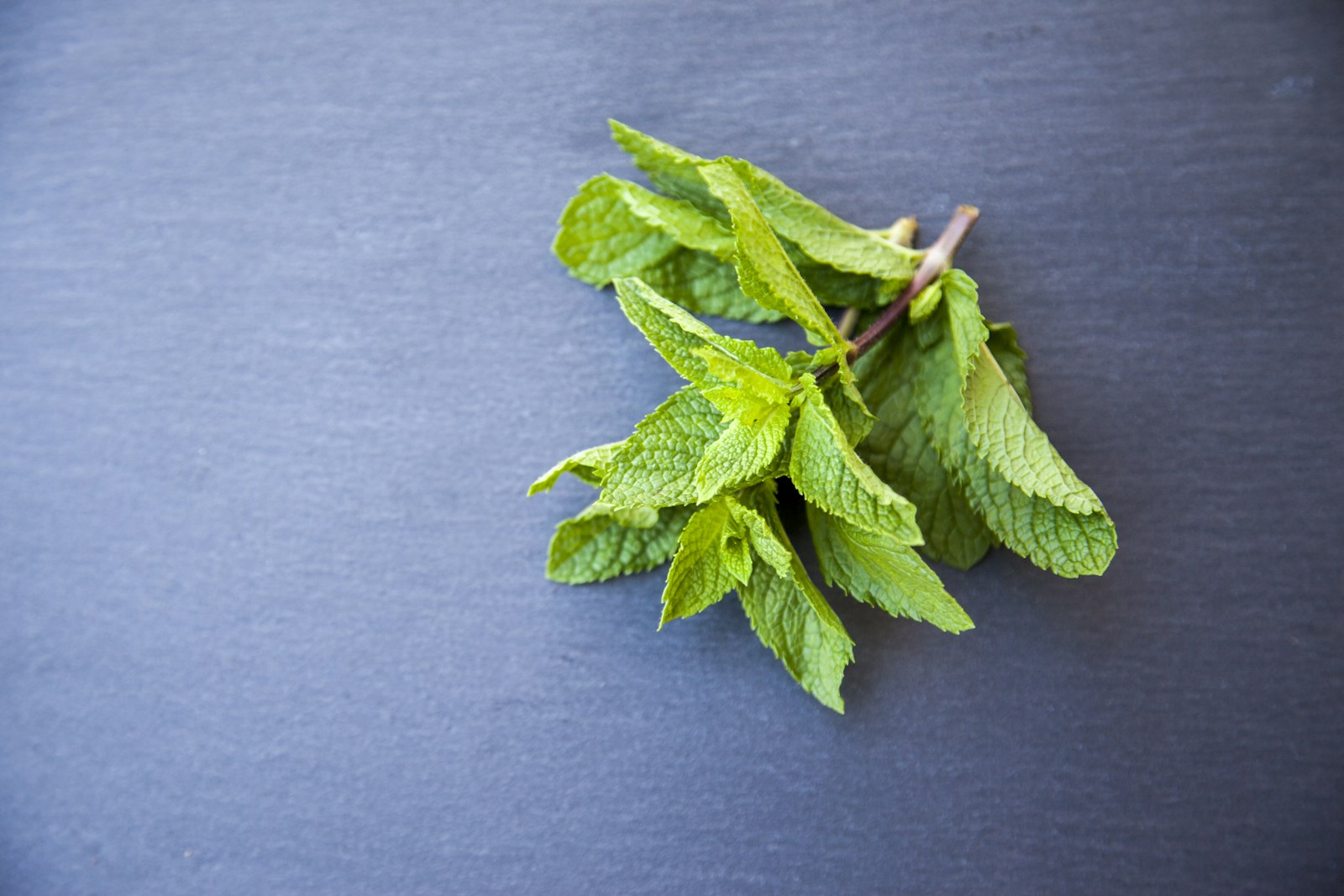 Freshly cut mint sprigs lying on a dark slate surface