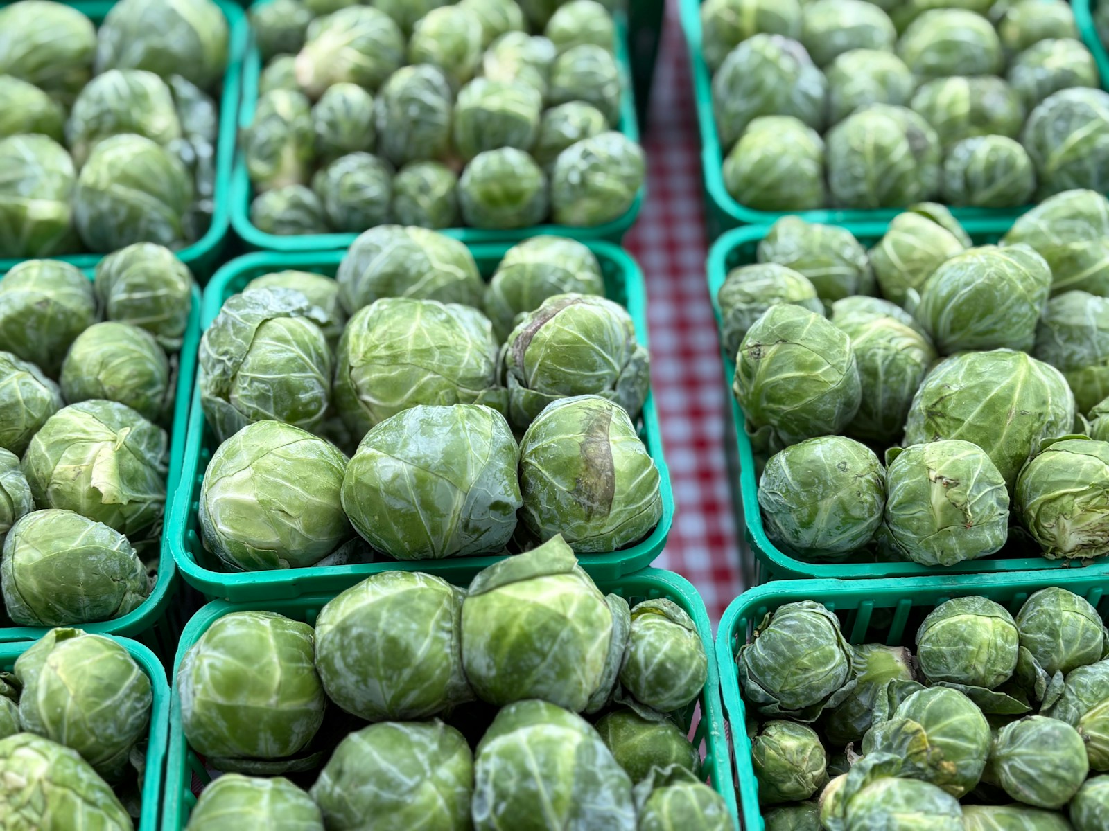 Green baskets filled with loose Brussels sprouts at a market stall