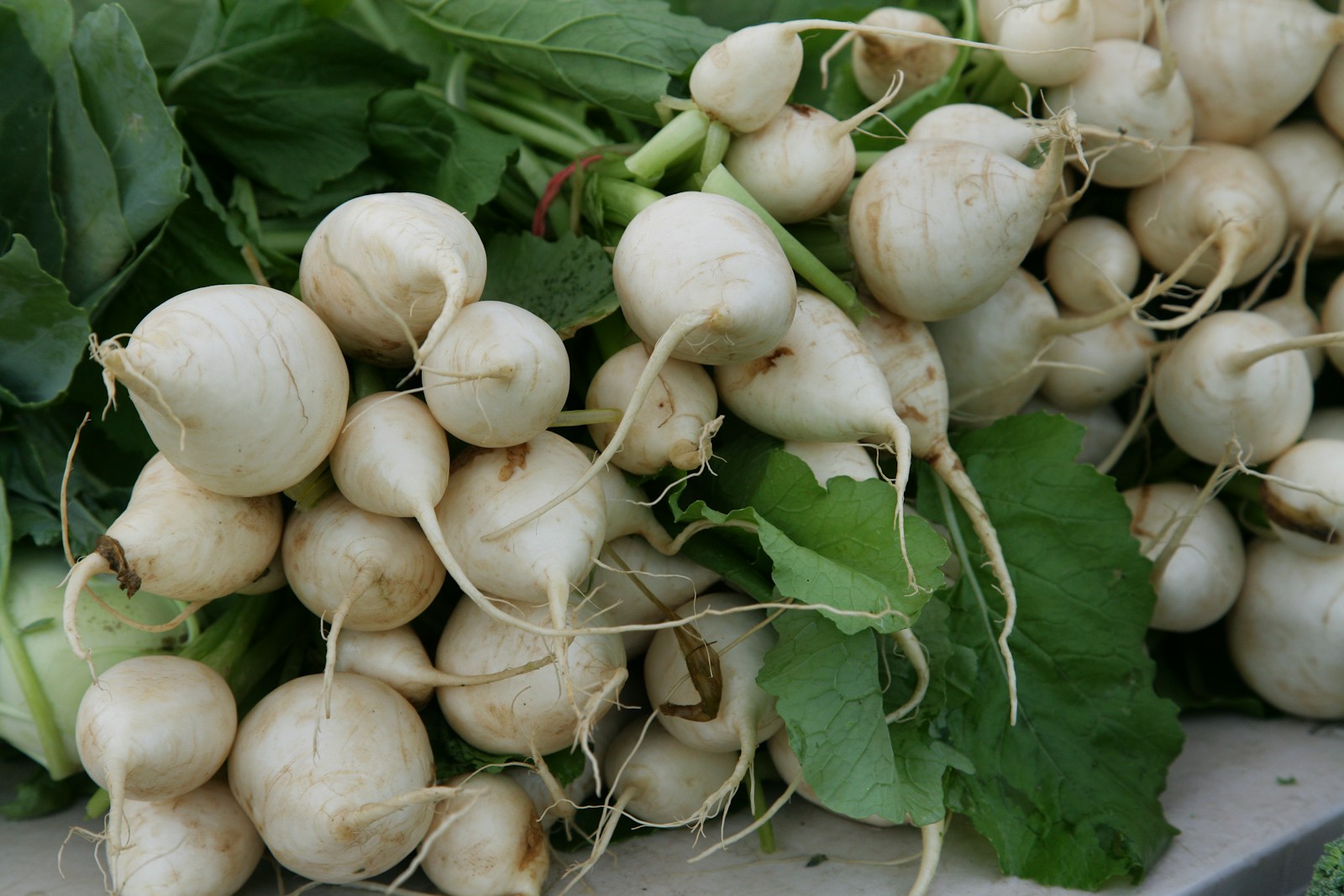 Bunches of small round white turnips with fine roots and green leaves