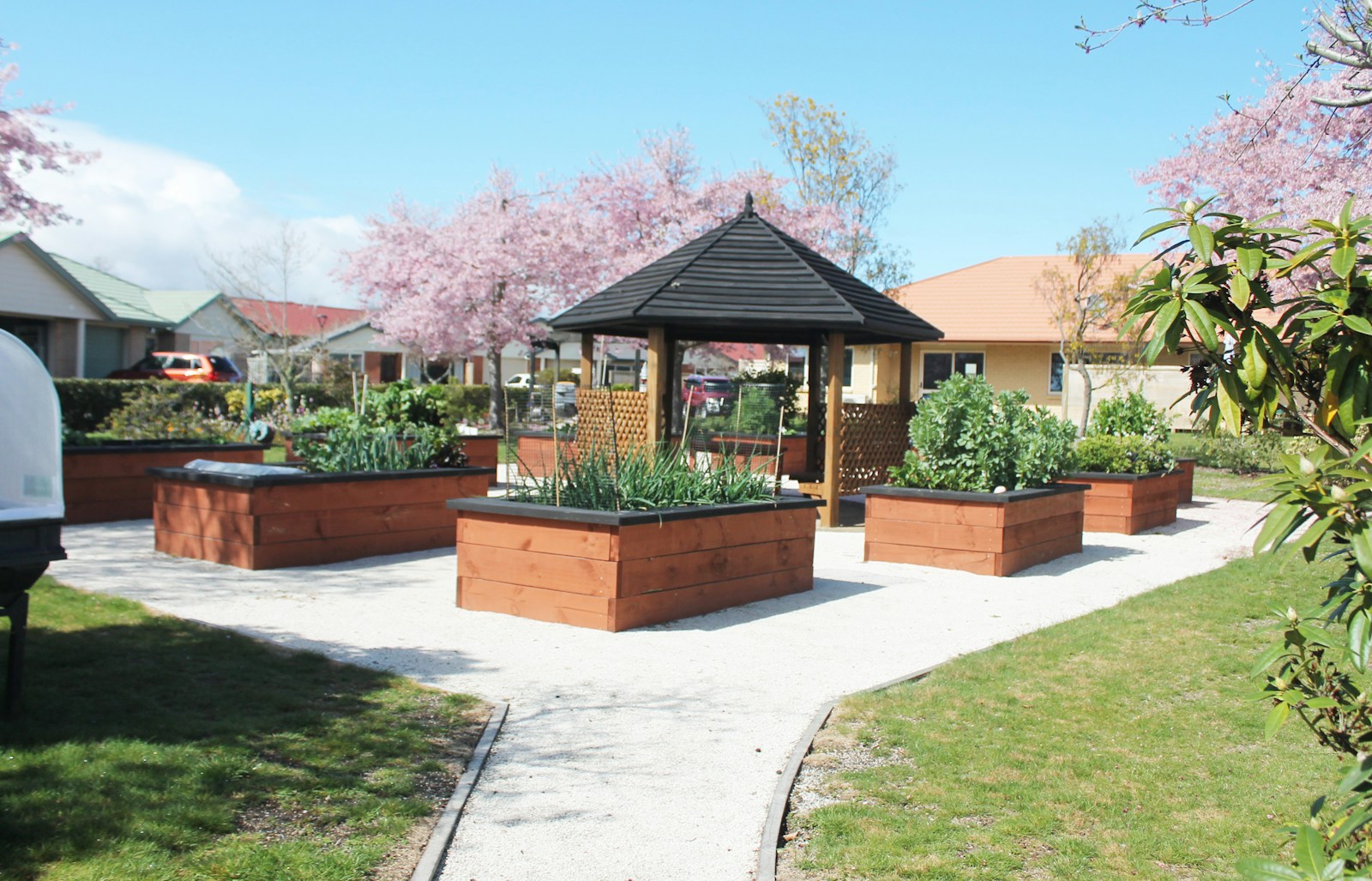 Wooden raised vegetable beds around a gazebo on gravel paths