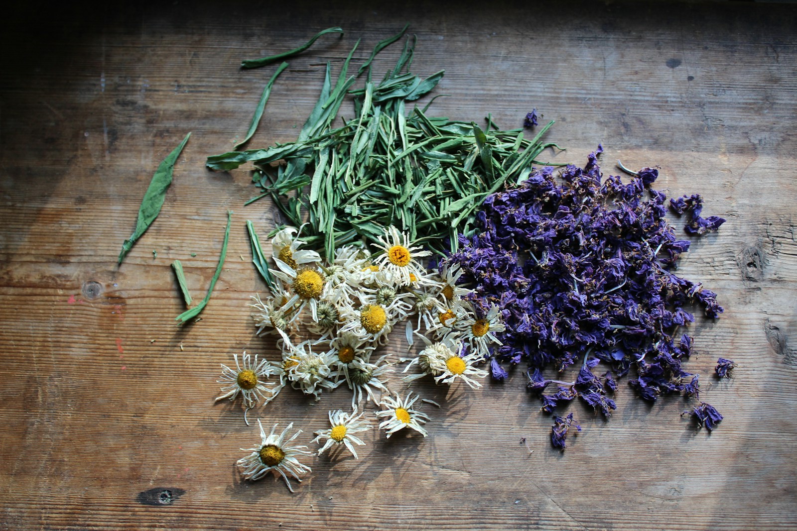 Dried lavender, small white daisy-like flowers and green leaves on a wooden table