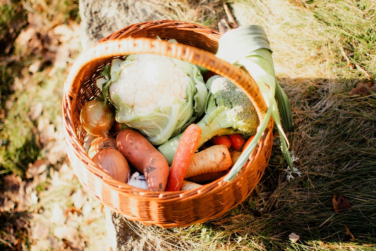 Wicker basket of autumn vegetables with a leek, cauliflower, broccoli and carrots
