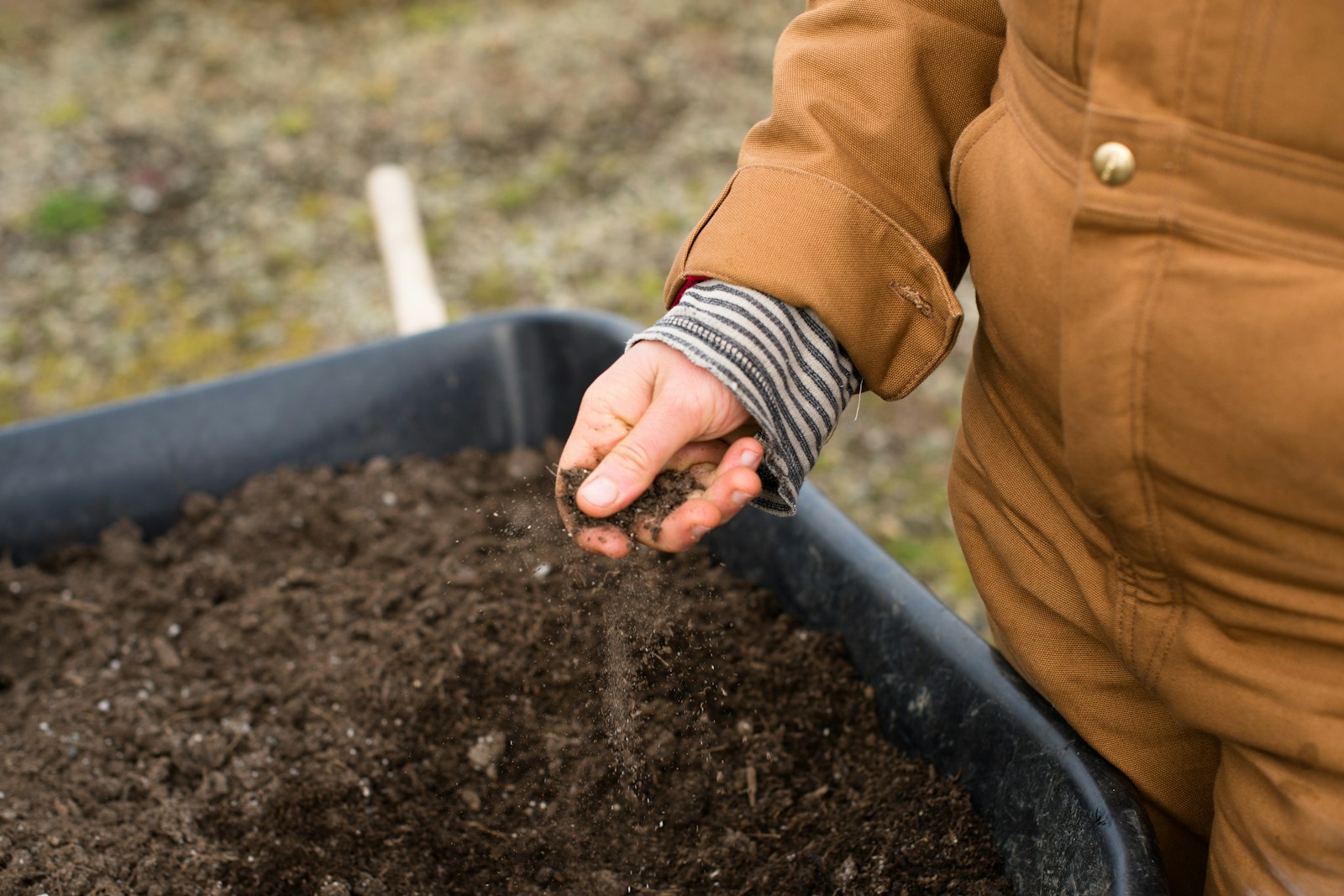 Gardener crumbling loose dark soil by hand over a filled tub