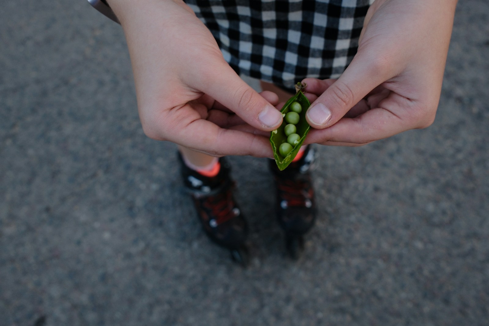 Hands holding an open pea pod with five small green peas