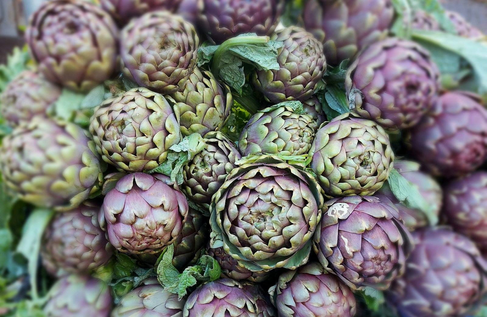 Heap of green and purple artichoke buds with leaves at a market