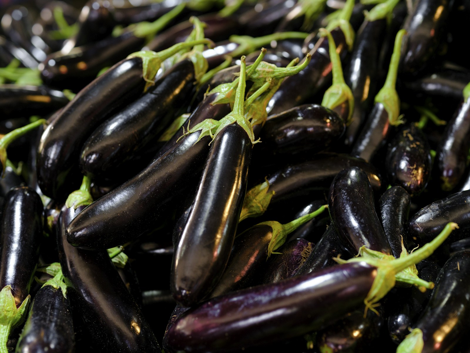A pile of long, slim, dark purple eggplants with green caps