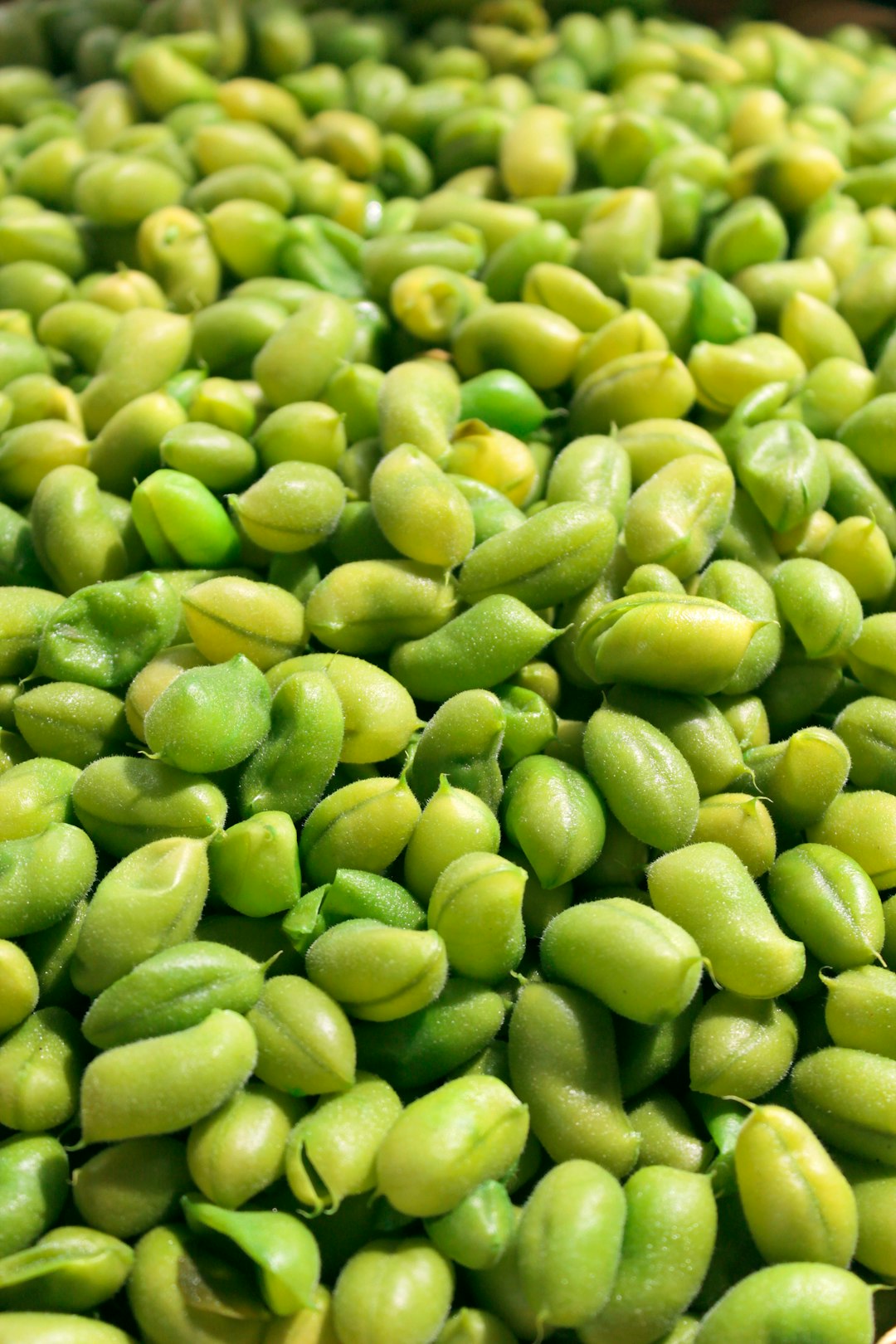 A close pile of fresh raw shelled edamame beans showing their fuzzy green skins