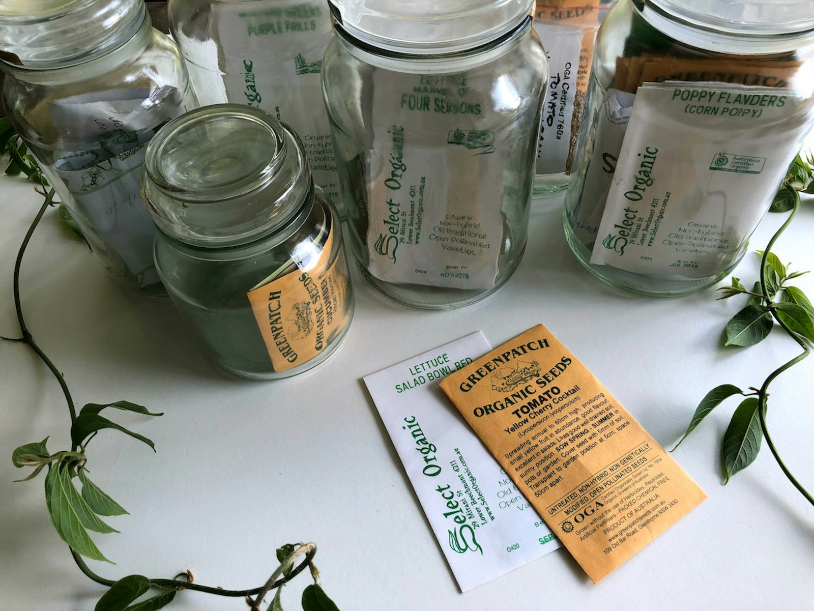 Paper seed packets stored in glass jars to keep seed dry