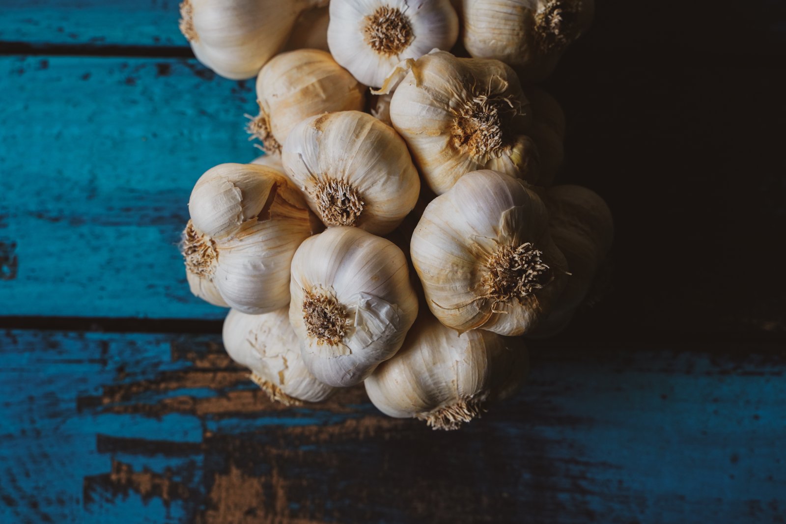 A bunch of cured white garlic bulbs against blue painted wood