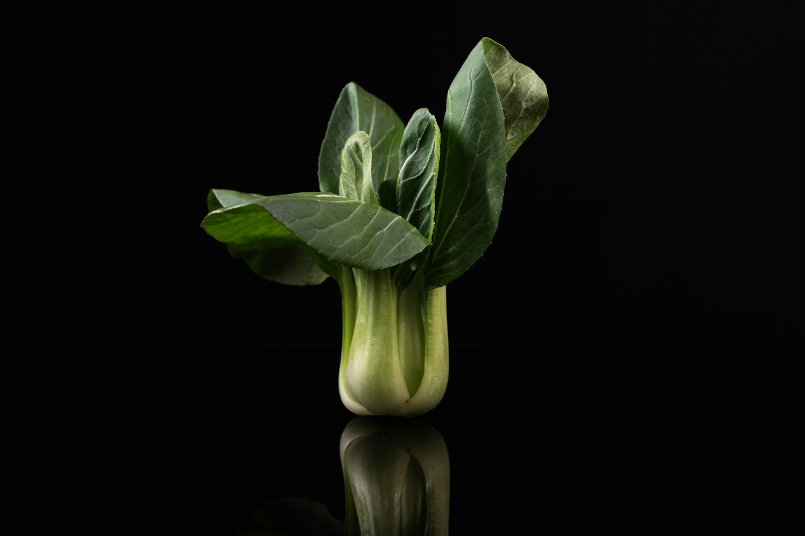A single harvested baby bok choy head with pale green stems on black