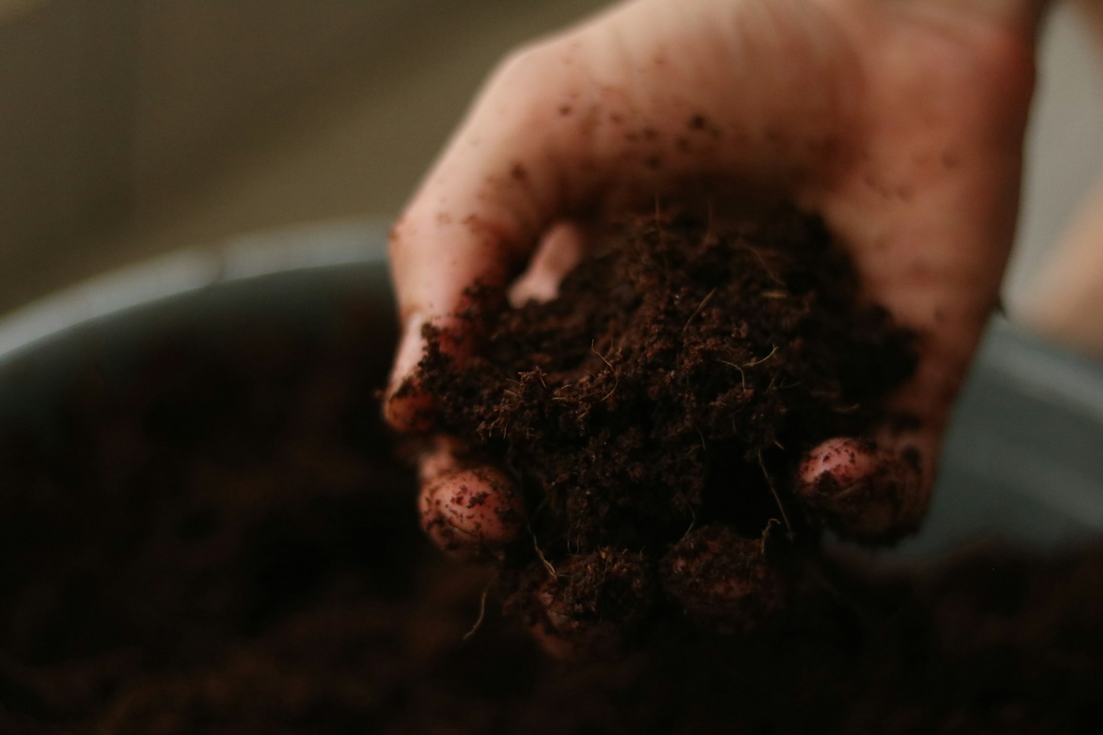 Hand lifting a fistful of dark, loose, crumbly soil
