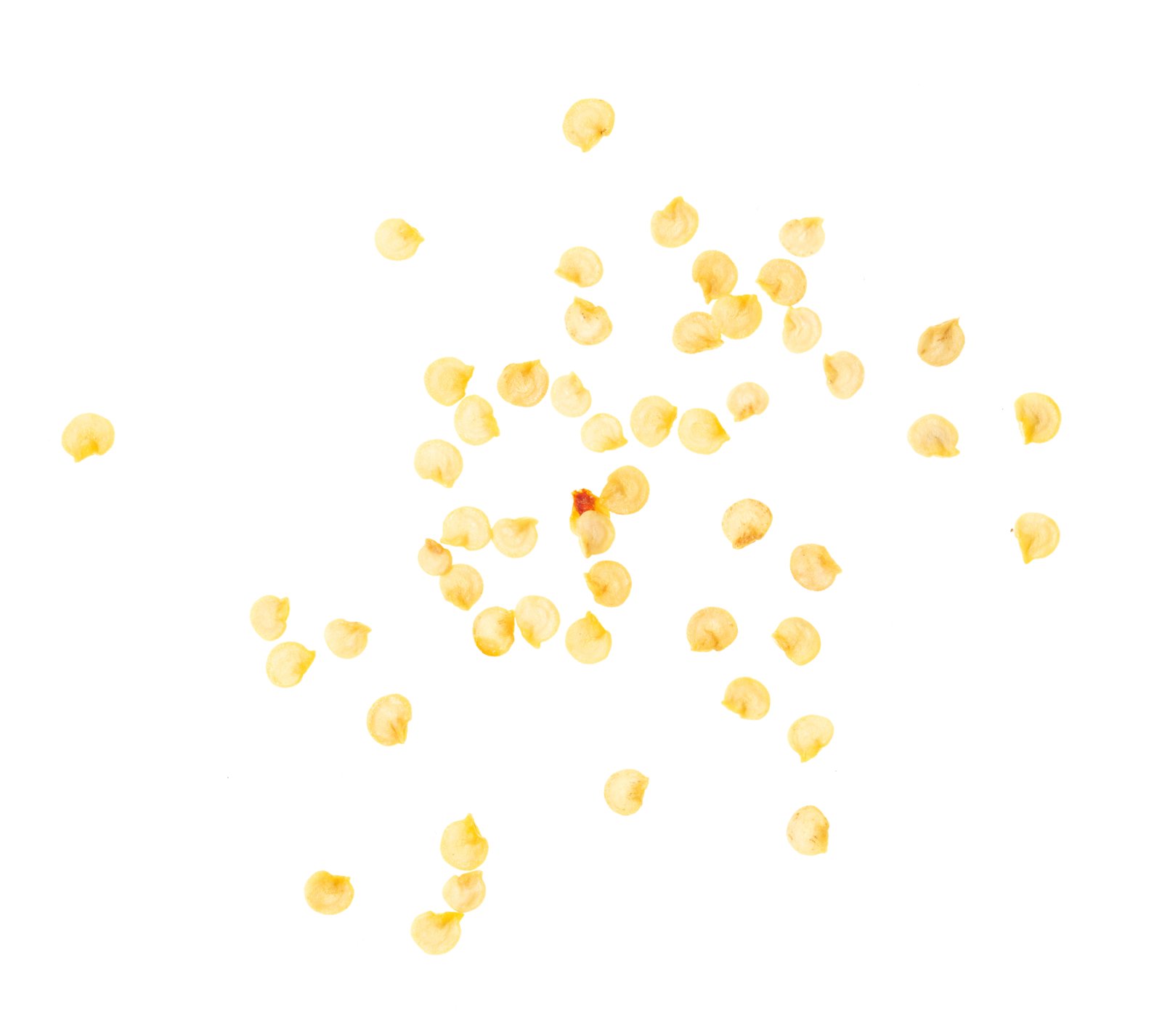 Pale flat pepper seeds scattered on a white background
