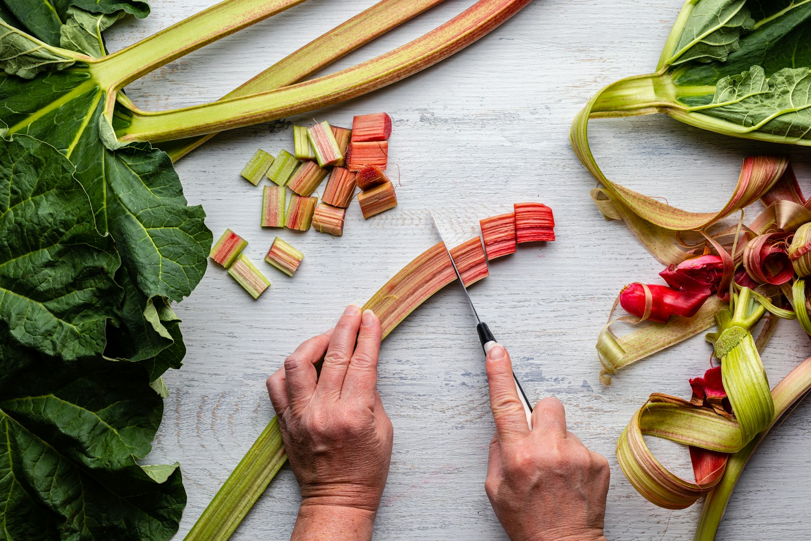 Hands slicing a rhubarb stalk into pieces beside its large leaves