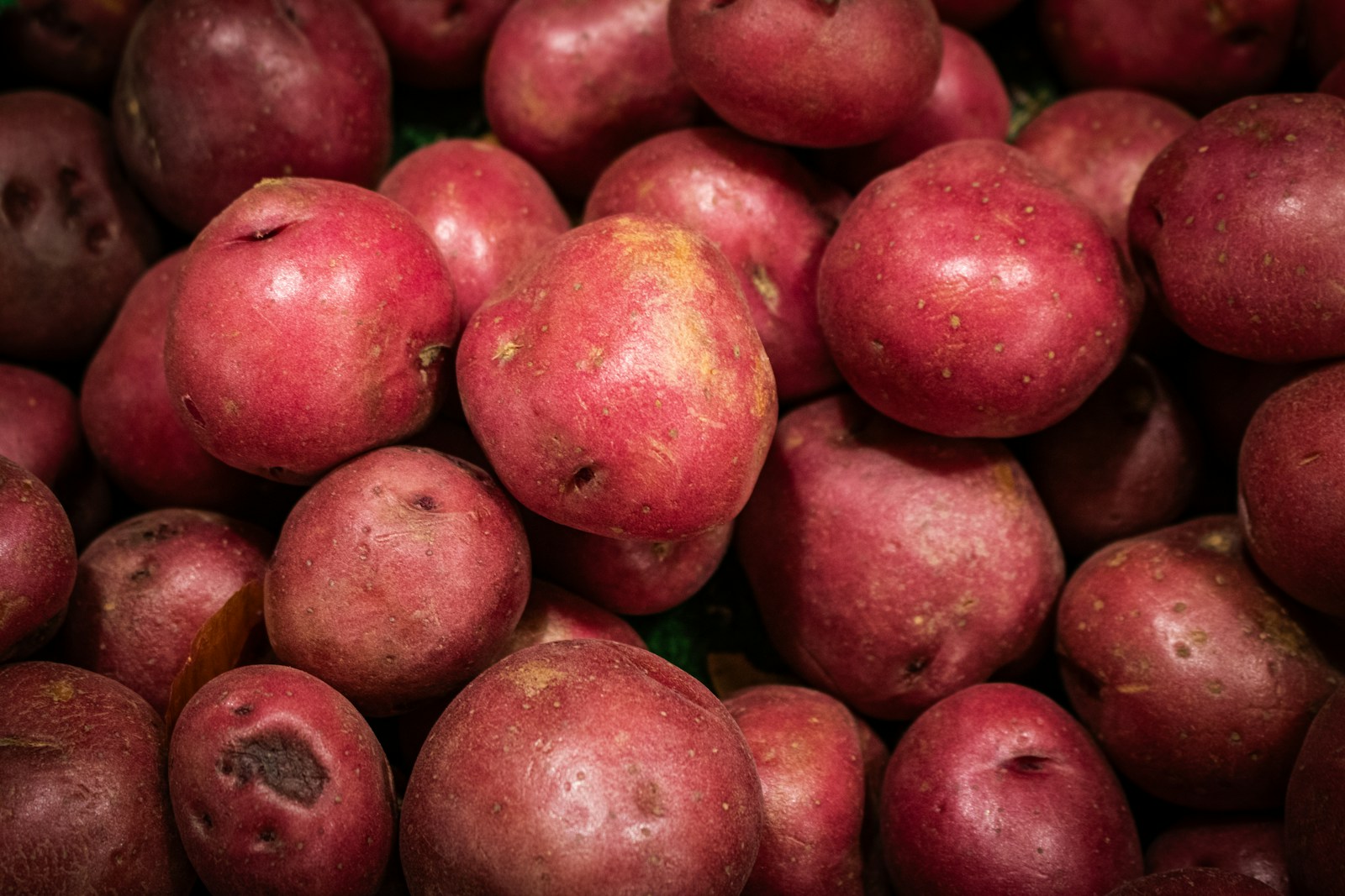 Pile of red-skinned potatoes, a waxy salad type