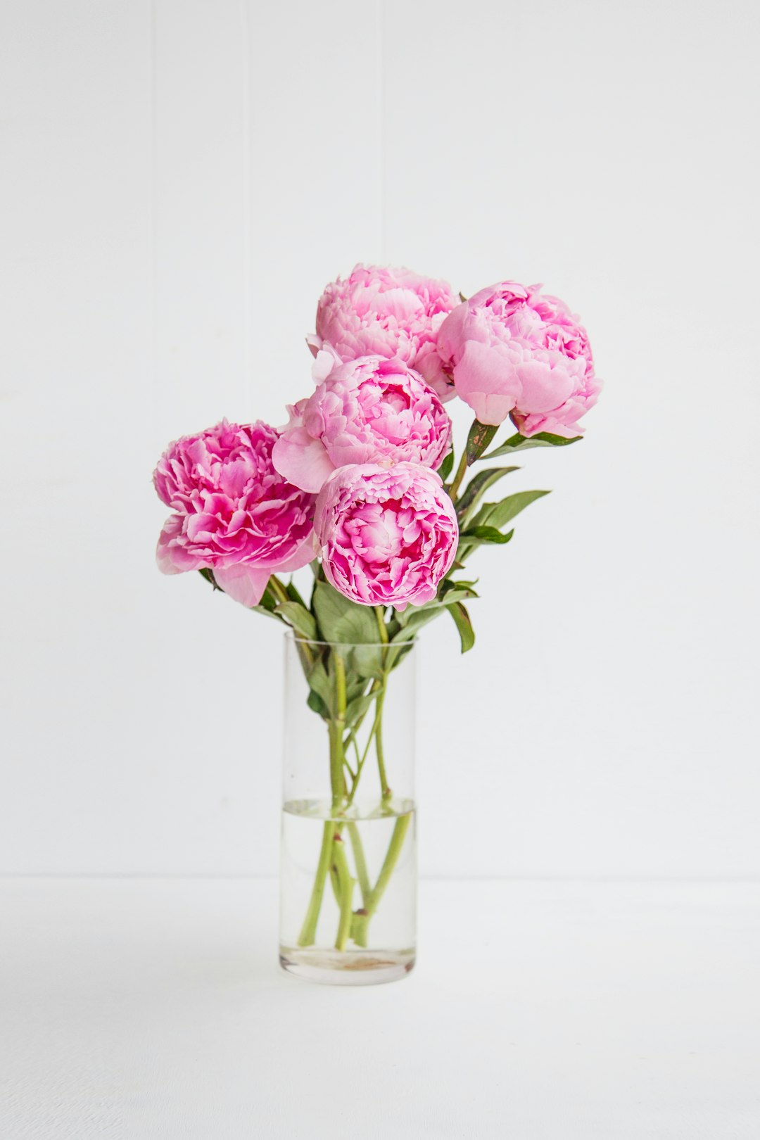 Freshly cut pink peony stems arranged in a glass vase indoors