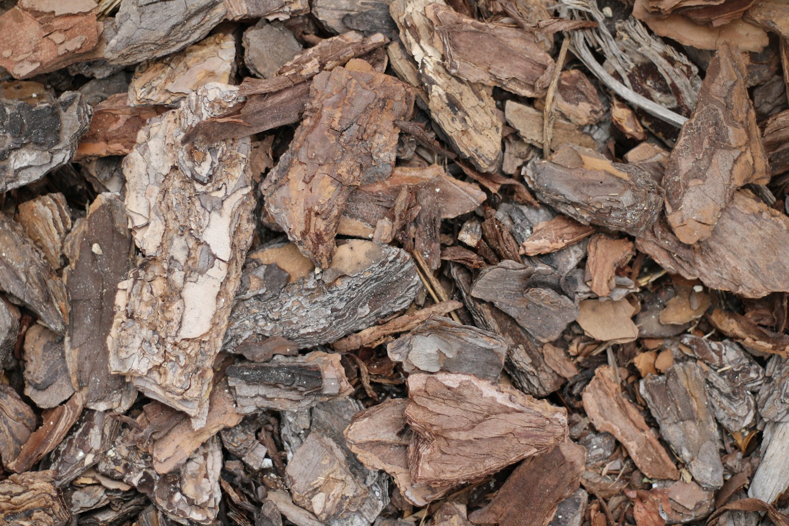 Close view of chunky pine bark mulch covering the soil