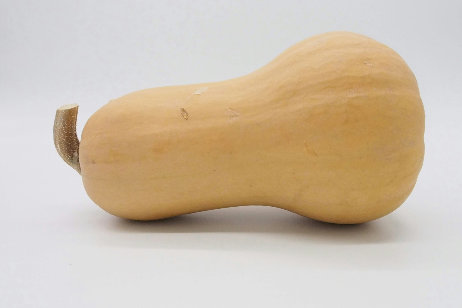 A whole cured butternut squash with a dry, corky stem attached