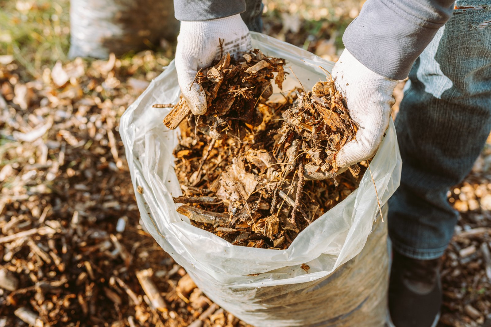 Gloved hands lifting shredded bark mulch from a bag